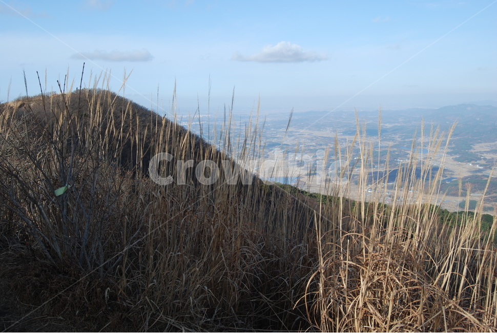 오서산,자연휴양림,보령시,100대명산,등산로,구름,하늘,자연,풍경,nature,landscape,한국자연풍경,한국자연경관,korea nature landscape,grass,잔디,plant,식물