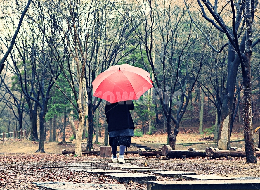 빨강우산,공원,풍경,자연,배경