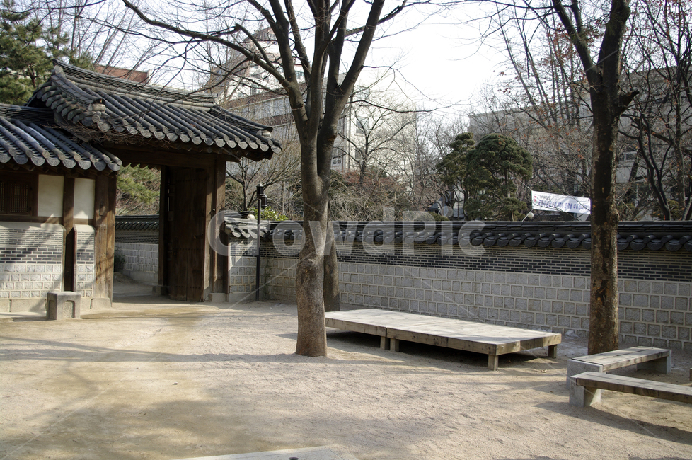 전통,tradition,전통가옥,한옥,건축,기와지붕,나무,마당