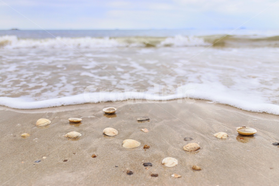 바다,파도,조개,조게껍데기,하늘,sea,자연,풍경,자연,풍경,nature,landscape,해변,바다,beach,sea,water,물,shoreline,해안선