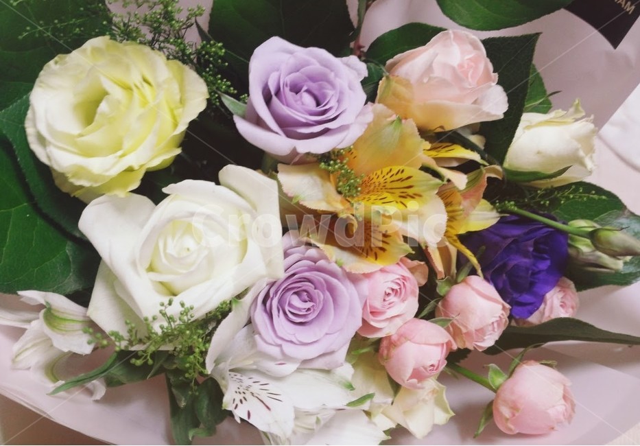 꽃다발,꽃,꽃송이,장미,장미꽃,식물,자연,plants,nature,꽃,flower