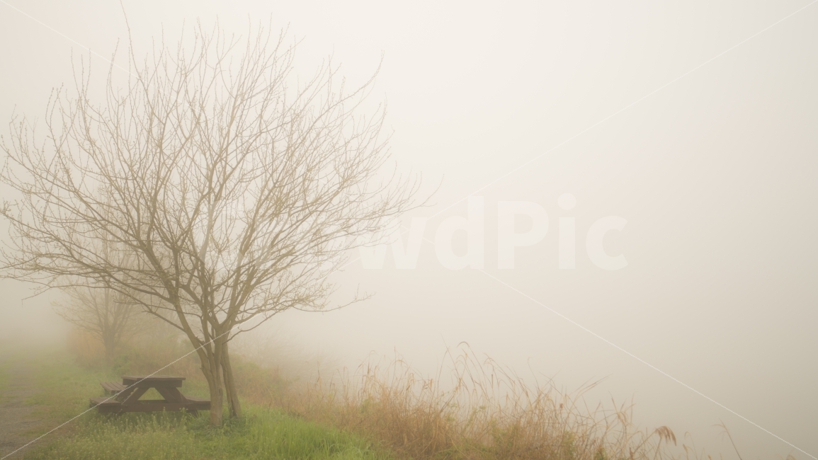 창녕,우포늪,안개,풍경,여유,여백,언덕,빈자리,외로움,자연,풍경,nature,landscape,weather,날씨,outdoors,옥외
