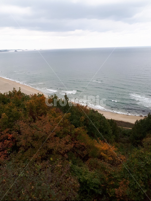 바닷가,바다,파도,밀물,썰물,가을,계절,fall,autumn,season,자연,풍경,nature,landscape,promontory,곶,ocean,대양,water,물,outdoors,옥외,sea,shoreline,해안선