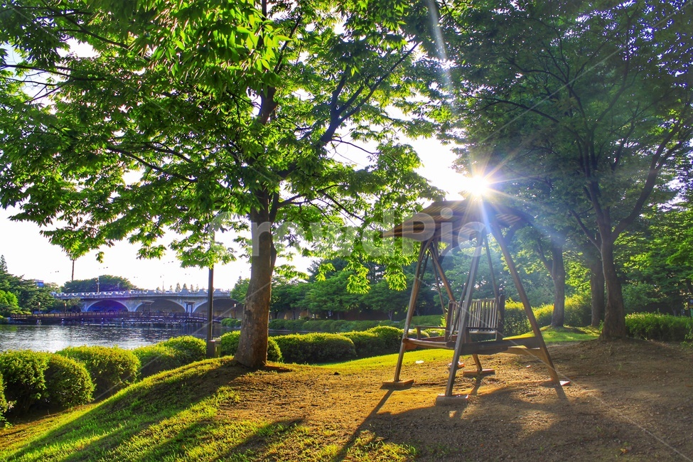 일산호수공원,호수공원,공원,햇살,햇빛,흔들의자,의자,벤치,여유,자연,풍경,nature,landscape,light,빛,flare,플레어