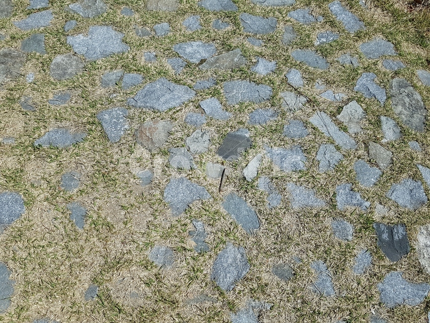 길,바닥,돌,돌길,화단,자갈,잔디,풀,벽돌,초록색,산책