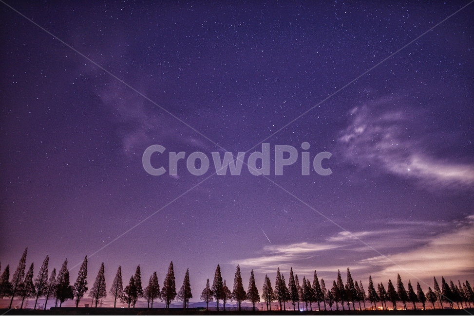풍경,야경,별,은하수,가로수,자연,풍경,nature,landscape,야경,밤,nightscape,night,outdoors,옥외