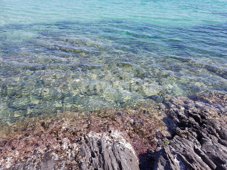 바다,해변,동해,대마도,바다색,일본