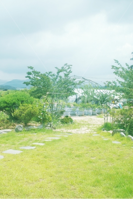 정원,앞마당,집,garden,자연,잔디,디딤돌,자연,풍경,nature,landscape,휴식,힐링,rest,relaxation,healing,outdoors,옥외,plant,식물,grass