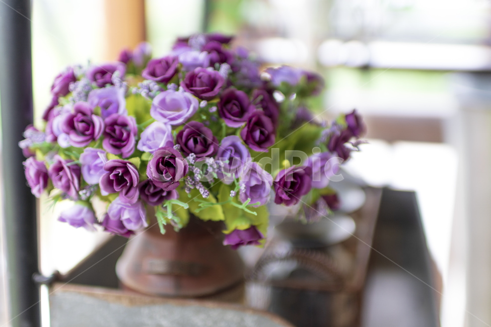 꽃,화분,보라색,연분홍색,초록색,꽃,flower,실내용화초,화분,화초,house plant