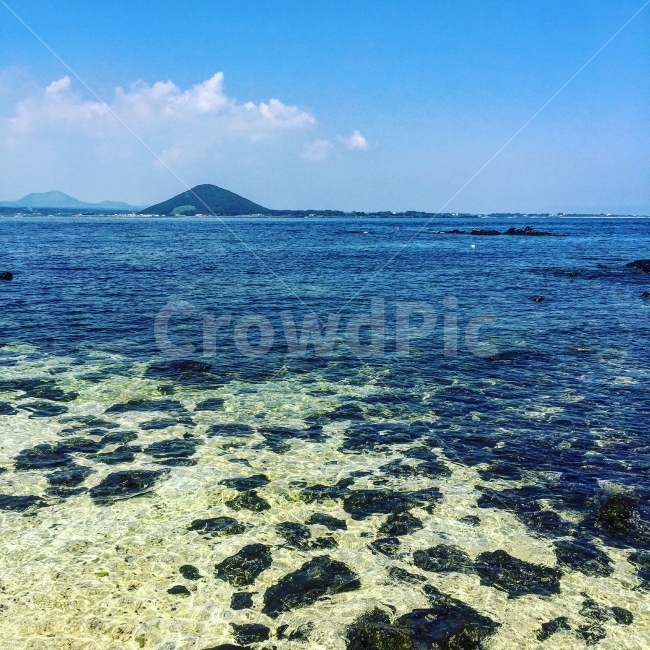 제주도,바다,깨끗함,투명,바닷가,여름,제주,우도,자연,풍경,nature,landscape,제주도,jeju,jeju island,water,물,ocean,대양,outdoors,옥외,sea
