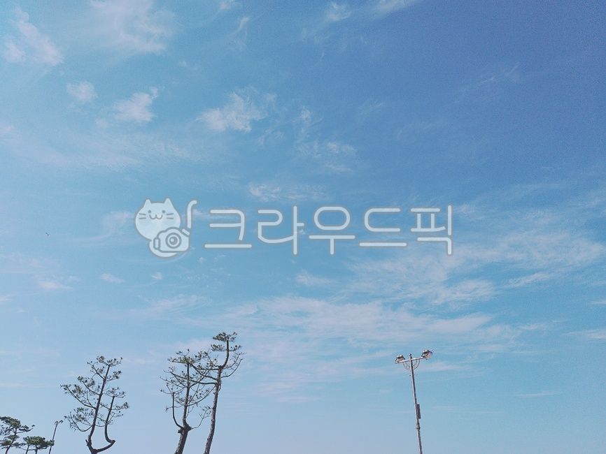 하늘,sky,구름,나무,가로등,풍경,푸른,파란,blue,nature,cloud