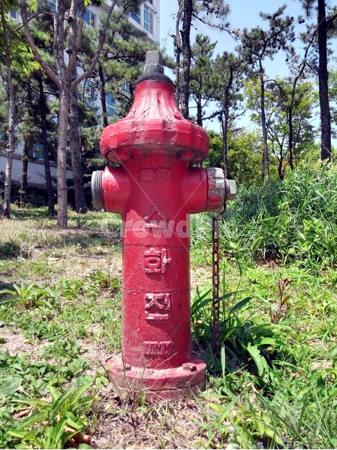 소화전,불,119,불조심,화재,fire,사물,물건,오브젝트,thing,object,matter