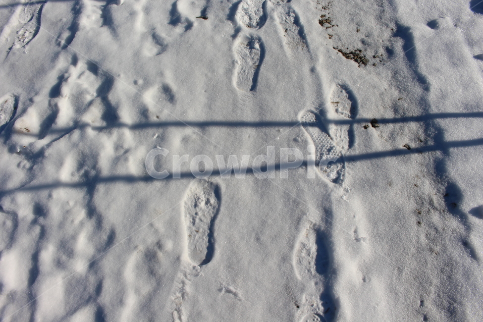 발자국,눈,자연,눈발자국,겨울,겨울,계절,winter,season