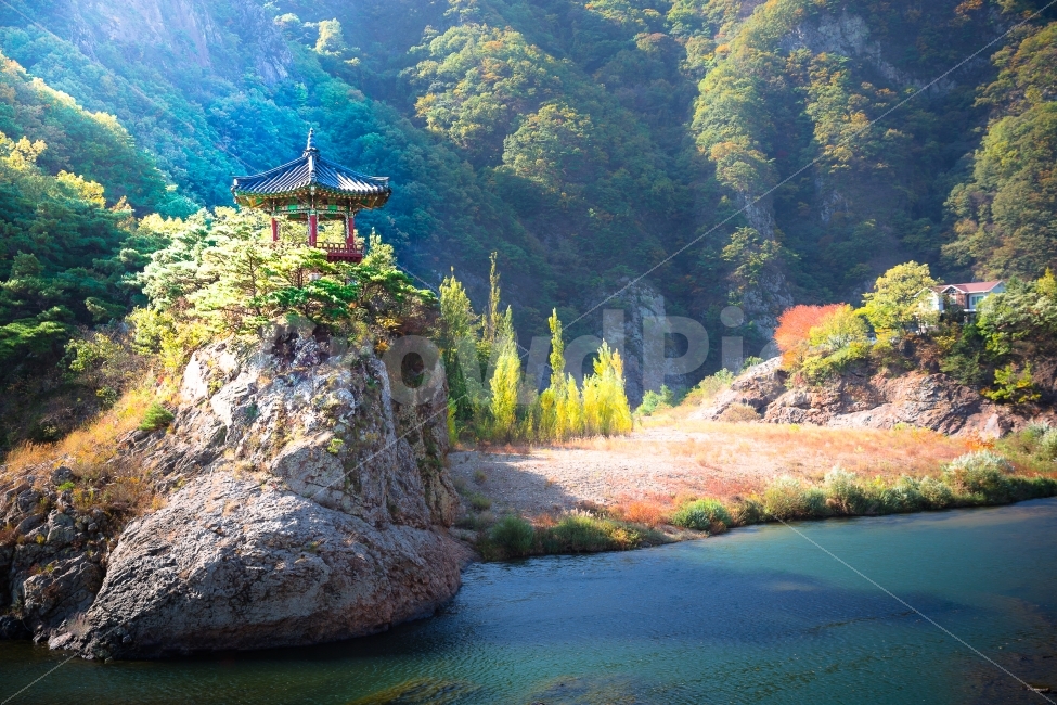 영동,월류봉,운해,물안개,가을,정자,단풍,풍경,가을,계절,fall,autumn,season,자연,풍경,nature,landscape,한국자연풍경,한국자연경관,korea nature landscape,한국전통,한국문화,korean traditional,korean culture,휴식,힐링,rest,relaxation,healing,building,건물,architecture,건축물