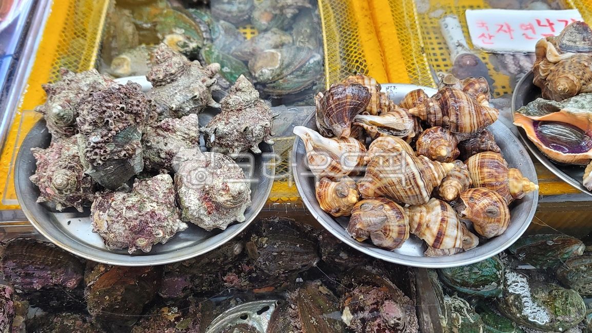 해산물,수산물,seafood,해물,소라,바다소라,conch,turbanshell