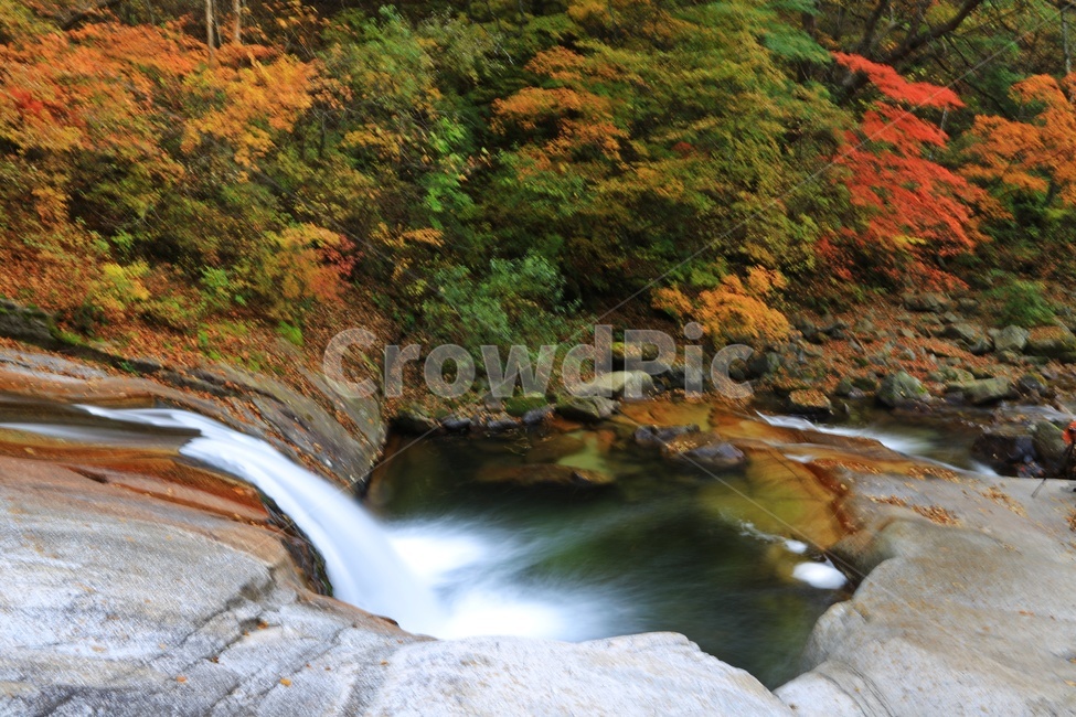 water,물,nature,outdoors,옥외,waterfall,폭포,tree,나무,plant,식물,leaf,잎,stream,흐름,물흐름,강원도,인제,방태산,방태산폭포,방태산가을,단풍,단풍잎,가을,추색,만추,낙엽,계곡,경치,경관,풍경,인제가을