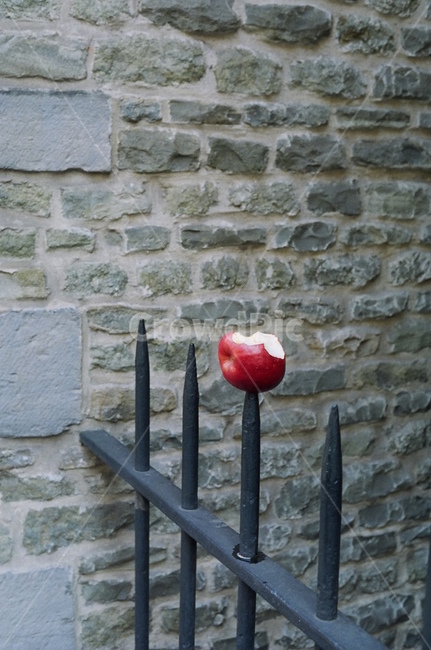 banister,난간,handrail,wall,벽,사과,벽돌,apple