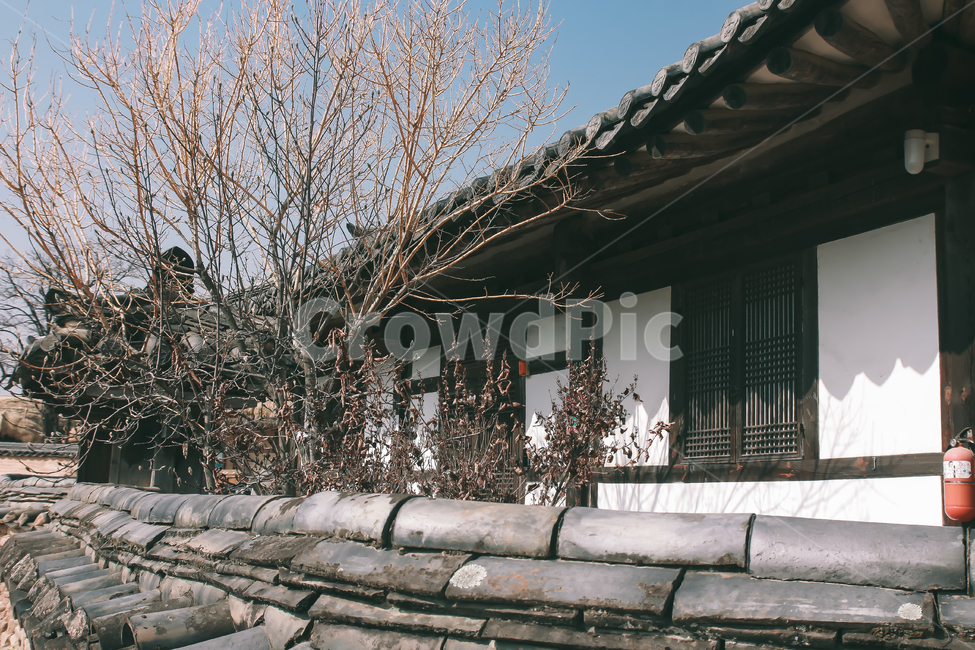 한옥,한국,필름,감성,안동,전통,가옥,한국전통,한국문화,korean traditional,korean culture,건축물,건물외관,exterior,building,structure,architecture,construction