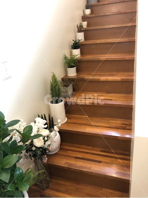 계단,화분,식물,장식물,인테리어,인테리어,실내디자인,interior design