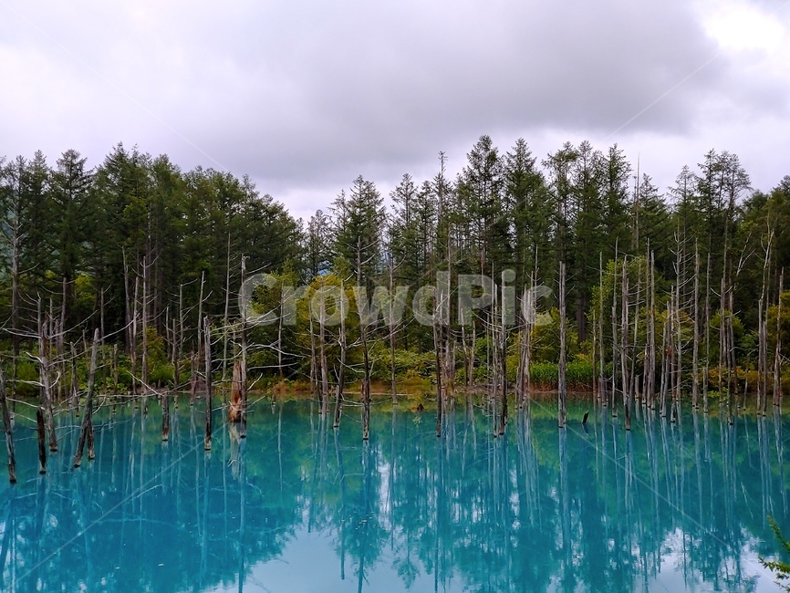 호수,숲속,흐림,파란호수,스산함,물에비친풍경,숲속호수,나무,자연,풍경,nature,landscape,해외,외국,세계,foreign,oversea,world,세계자연풍경,해외자연풍경,외국자연풍경,world nature landscape,tree,plant,식물,water,물,outdoors,옥외,fir,전나무,abies,아비,land,땅