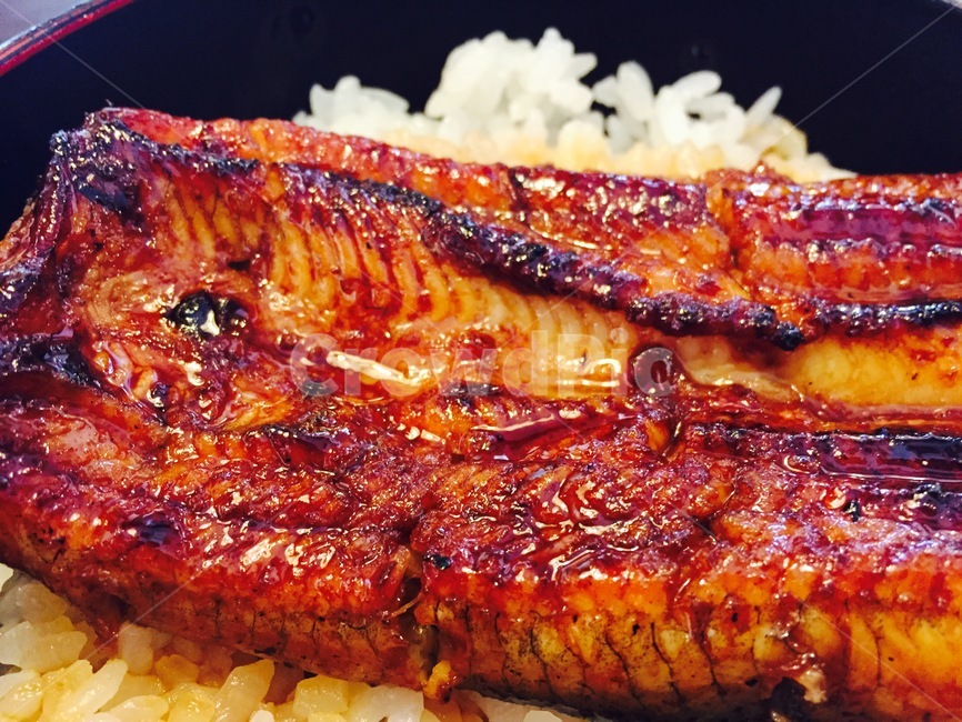 일본,japan,장어덮밥,아나고동,장어,민물장어,밥,rice,일식,일본음식