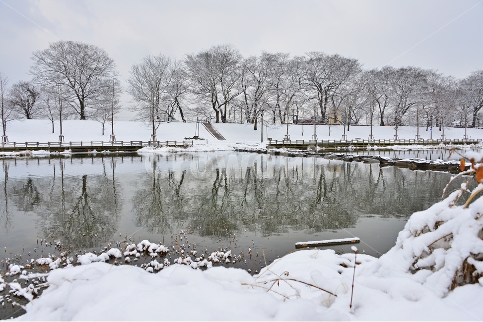 water,물,nature,자연,outdoors,옥외,담양,관방천,관방제림,관방천설경,관방제림설경,설경,반영,겨울,계절,겨울,계절,winter,season,자연,풍경,nature,landscape