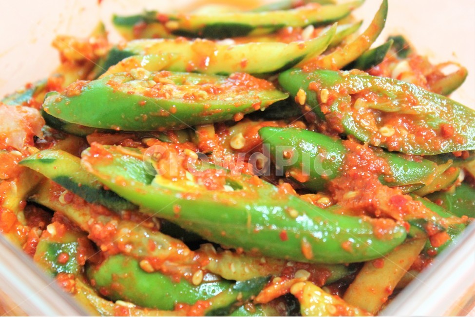 고추오이무침,고추,오이,무침,한국음식,요리,한국전통,koreafood,koreatraditional,cooking,음식,식재료,요리,food,cook,meal,dishes,food reserves,한식,한국음식,한국요리,korean food,korean dishes,korean meal,korean cook