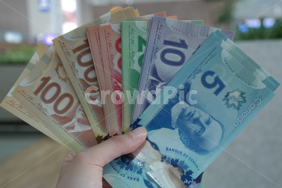 money,돈,캐나다돈,canadamoney,cad,캐나다화폐,화폐,금융,돈,finance,banking,money