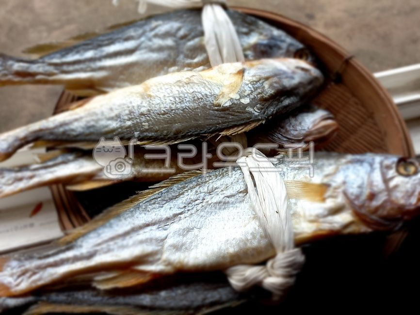 생선, fish, 굴비, 조기, 건조생선, 사진,이미지,일러스트,캘리그라피 - kim hyung작가