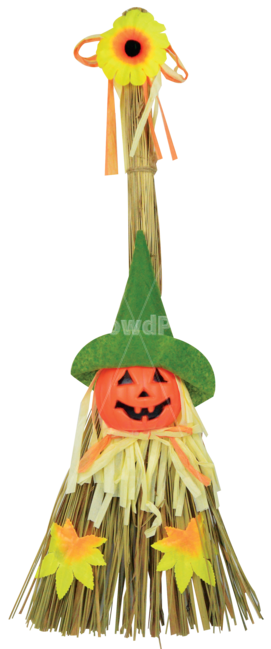 할로윈빗자루,빗자루,할로윈소품,할로윈,halloween,마녀빗자루,호박빗자루,사물,물건,오브젝트,thing,object,matter