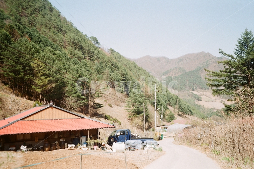 시골,농촌,농사,전원,시골길,강원도,고향,시골,마을,풍경,landscape,country,rural,town
