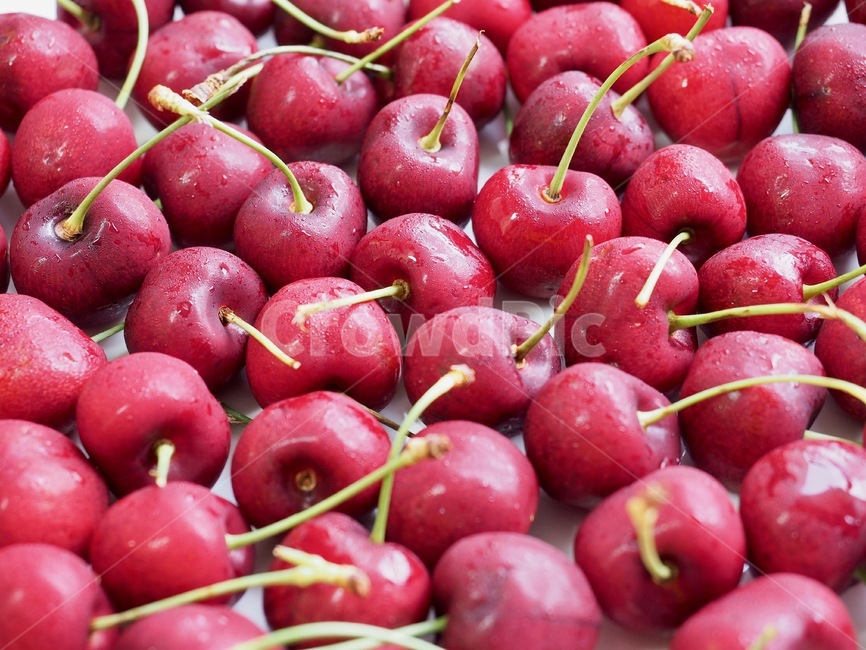 체리,과일,음식,자연,신선함,건강한식생활,유기농,날것,달콤한음식,빨강,배경,cherry,fruit,food,nature,freshness,healthyeating,organic,rawfood,sweetfood,red,background,과일,열매,fruit