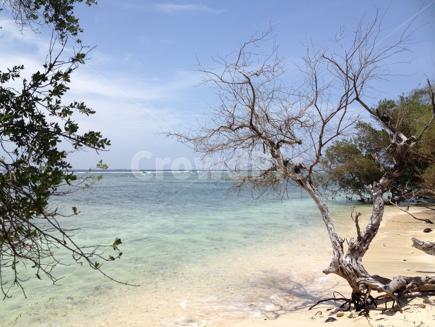 길리,바다,나무,하늘,gili,sea,tree,sky,seaandtrees