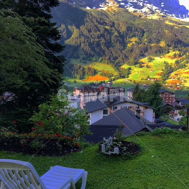 스위스자연,스위스풍경,대자연,스위스대자연,자연풍경,스위스,해외,유럽풍경,유럽자연,서유럽,나무,구름,산,자연,그린델발트,switzerland,grindelwald,해외,외국,세계,foreign,oversea,world,세계자연풍경,해외자연풍경,외국자연풍경,world nature landscape,plant,식물,grass,잔디,tree,fir,전나무,abies,아비