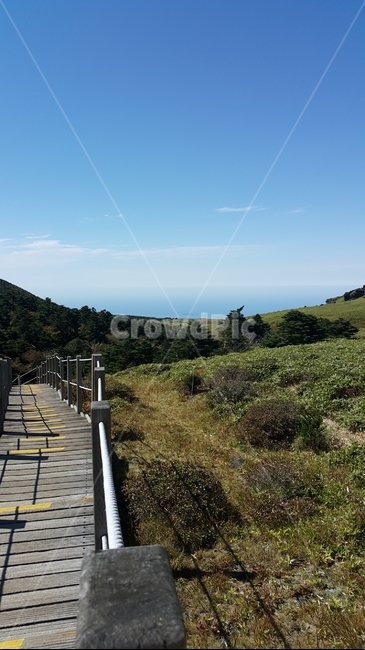 영실코스,윗세오름,한라산,계단,평화,맑은하늘,구름,산,등산