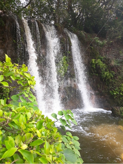 폭포,자연,나뭇잎,falls,nature,leaf