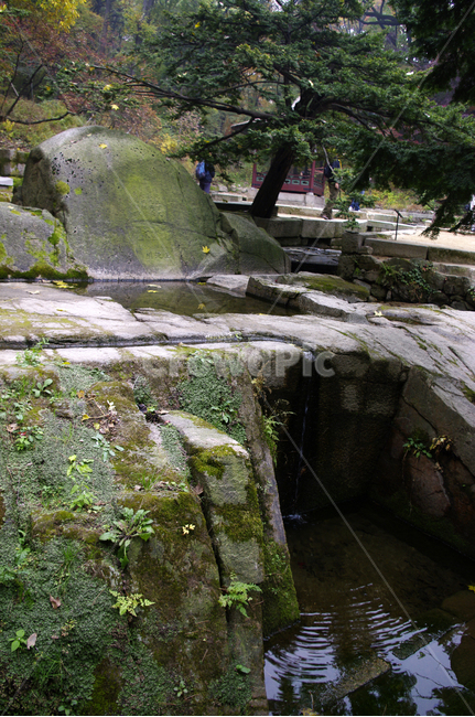 옥류천,소요암,바위,이끼,나무,식물,plant,자연,풍경,nature,landscape,building,건물,bunker,벙커