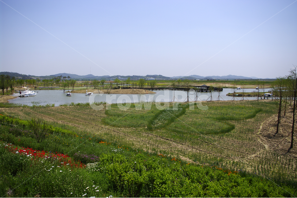 꽃,자연,plant,flower,나비축제,하늘,연못,festival,자연,풍경,nature,landscape,한국자연풍경,한국자연경관,korea nature landscape,outdoors,옥외,field,들,grassland,목초지,land,땅