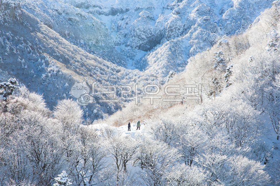 제주도, 한라산, 등반, 설산, 겨울산, 사진,이미지,일러스트,캘리그라피 - 유럽여행작가