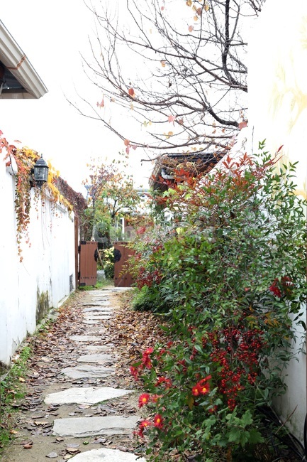 감성,전주,한옥마을,소품,전통,기와,골목길,돌담,마루,고즈넉,골목,골목길,alley,outdoors,옥외,garden,정원