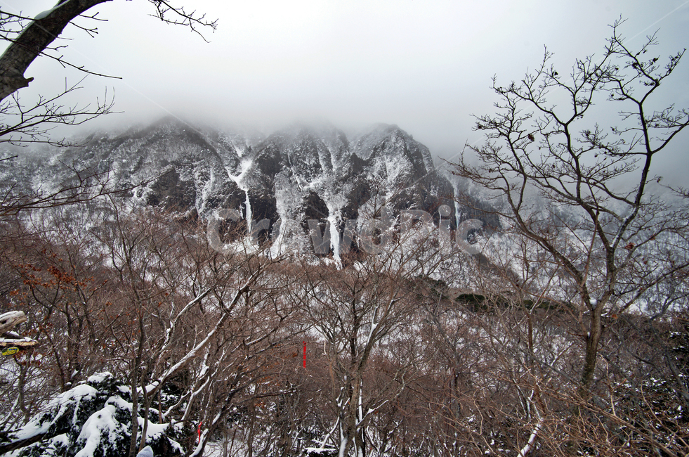 한라산,설경,제주도,영실코스,눈,겨울,안개,영실기암,겨울,계절,winter,season