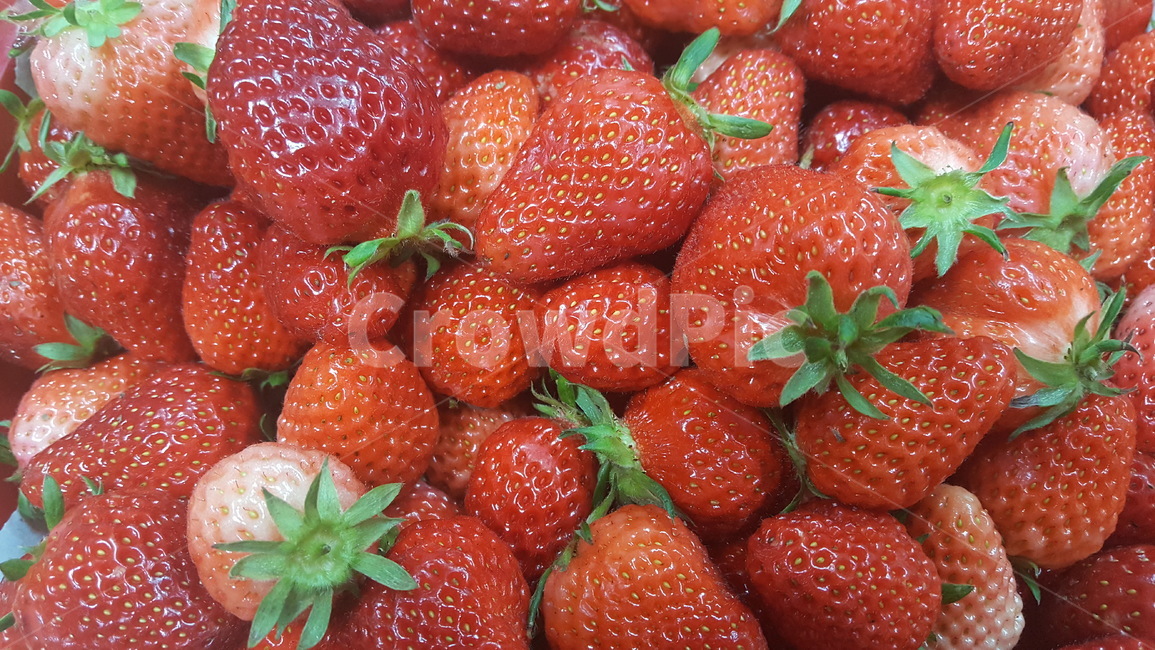 딸기,과일,제철과일,음식,채소,빨강,빨간색,새콤달콤,strawberry,음식,식재료,요리,food,cook,meal,dishes,food reserves,과일,열매,fruit