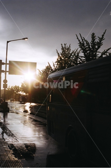 감성,필름,버스,태양,햇빛,브라운,장마,자연,풍경,nature,landscape,flare,플레어,light,빛,asphalt,아스팔트,transportation,교통,vehicle,차량,bus