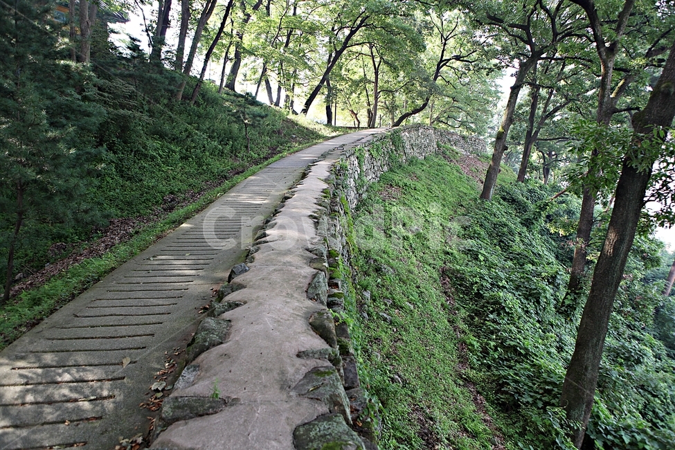 공주산성,성,산성,성곽,길,둘레길,숲,숲길,돌담,담,여름,풍경,흙담,벽,방어벽,나무,식물,유네스코등제