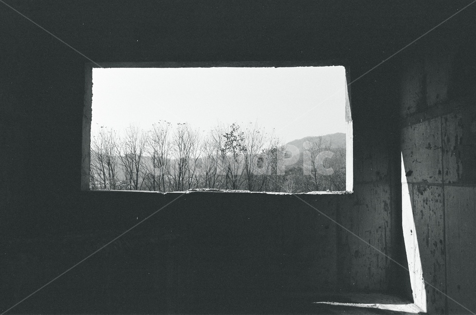 창,흑백,빛,폐교,나무소리,적막,겨울,흑백,모노톤,monochrome,black and white