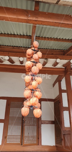 곶감,한옥,가을,만추,감,시골,마을,풍경,landscape,country,rural,town