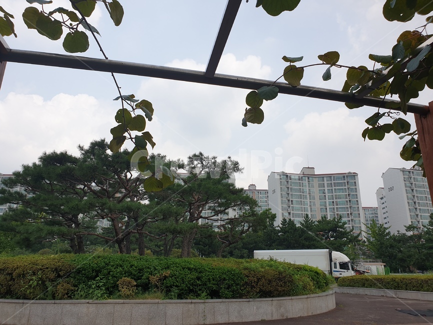 아파트,하늘,구름,나무,조경,운동장,보도,나뭇잎,넝쿨