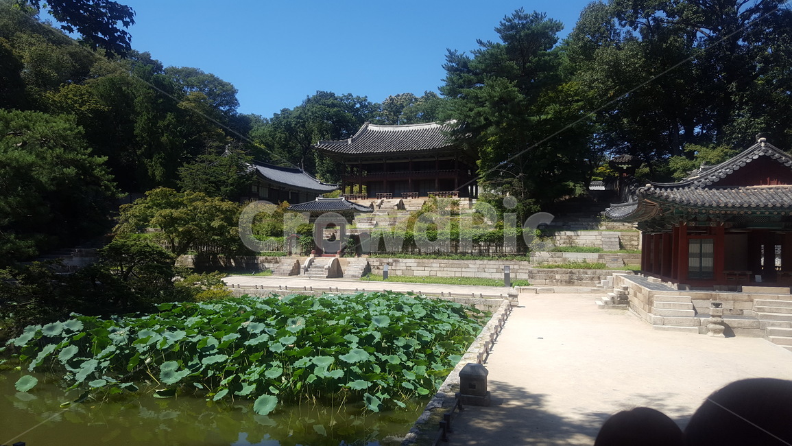 후원,자연,nature,backgarden,後園,한국전통,한국문화,korean traditional,korean culture,건축물,건물외관,exterior,building,structure,architecture,construction