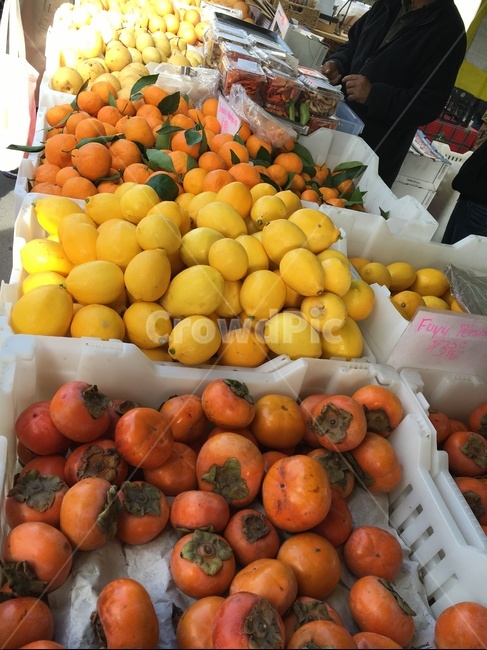 plant,식물,fruit,과일,food,음식,human,인간,person,사람,produce,persimmon,감,citrusfruit,감귤류과일,시장,market,과일,열매,fruit