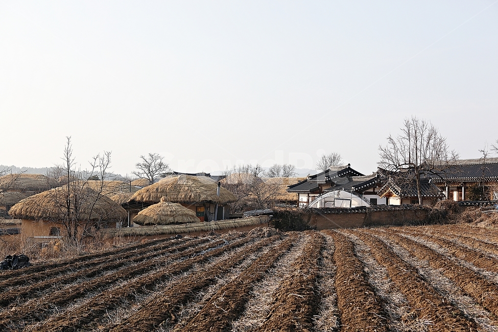 하회마을,초가집,초가,전통집,집,민속집,자연,풍경,겨울,건물,한국전통,한국문화,korean traditional,korean culture